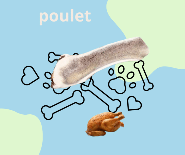 bois de cerf poulet